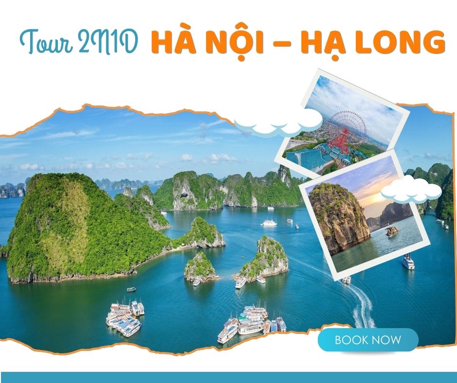 Tour Hạ Long 2 ngày 1 đêm 