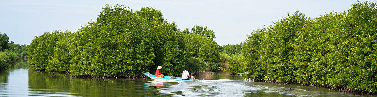 Đông Nam Bộ