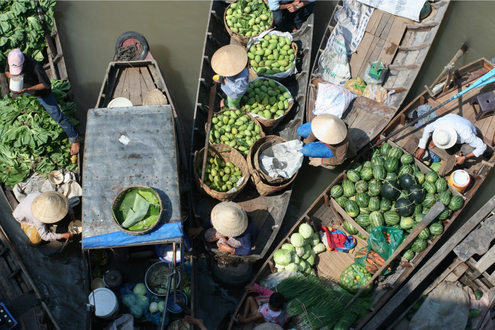 Tour Bến Tre - Cần Thơ - KDL Cồn Sơn - Thưởng thức trái cây theo mùa - Căn nhà màu tím