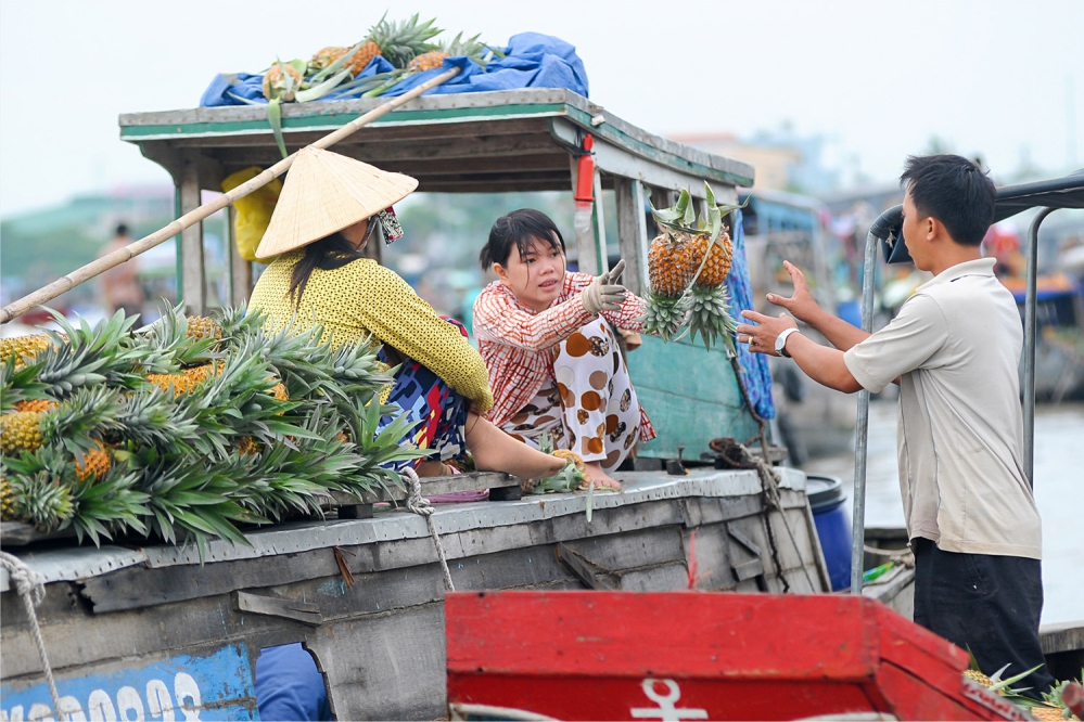 Tour Cần Thơ - Bến Tre - KDL Mỹ Khánh - Thưởng thức trái cây theo mùa - Căn nhà màu tím